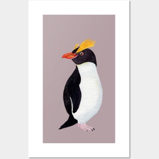 Erect Crested Penguin Posters and Art